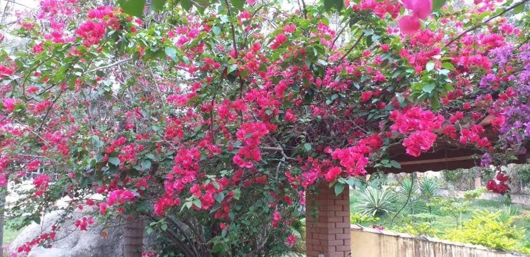 Pousada Pitoresca Mairipora Bagian luar foto